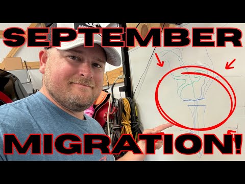 You Will Catch 10X More BASS In SEPTEMBER By Understanding THIS!!