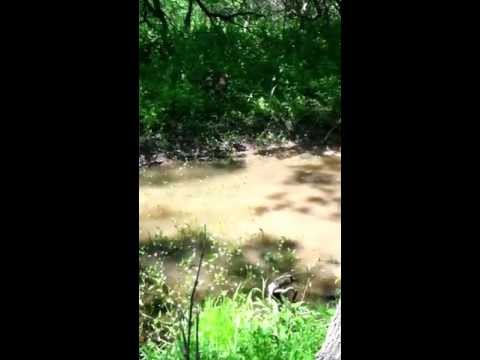 The other half of my Heart