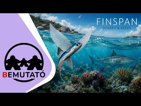 Bemutató: FINSPAN + SHARKS & REEFS - d3meeples
