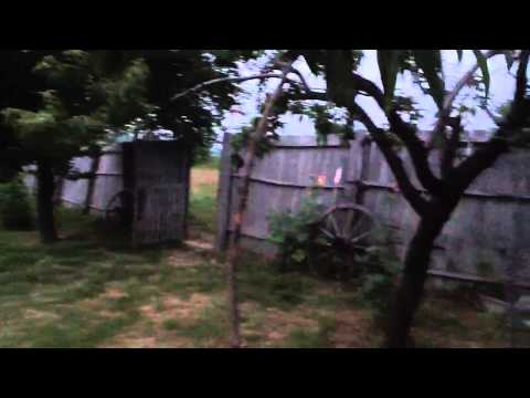 Tabăra de engleză la Ciresu Mehedinți