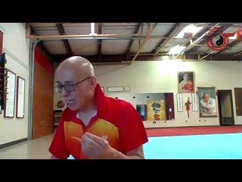 Shaolin Institute Shifu Deru Immune System Boost Series Part 1 - How To Train Effectively 05272020