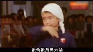 [問卦] 中國文化大革命 小孩怎麼會批鬥劉少奇？