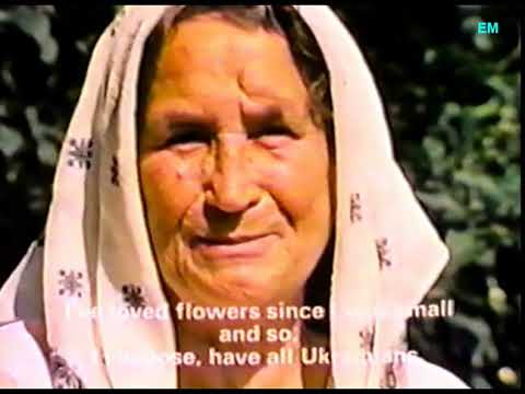 Сесіл Семчишин - відео обкладинка