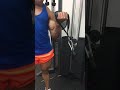 Single arm low pulley cable curls