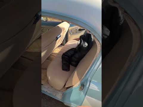 Вот как нашлась 60ти летняя Волга после угона🔥