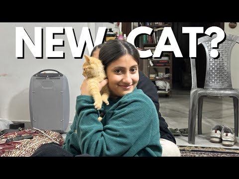 We adopted a Cat!!! | Vlog #57