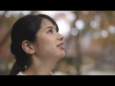 やまぐち映像図鑑 NO.030 紅葉谷公園［岩国市］ | Momijidani Park [ Iwakuni-city ]