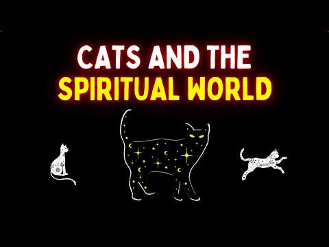 Cats and the Spiritual World | The Spiritual Mysteries of Cats Revealed