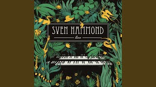 The Usual Suspect (Live From Paard, Den Haag/2016)