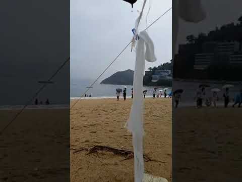 Discovery Bay beach / #shots #shortvideo #viral