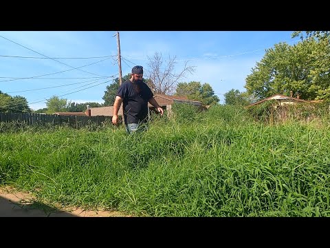 NEIGHBORS left with NIGHTMARE after RENTER DESTROYS house SO I CUT it FOR FREE!!! UGLY YARD CLEANUP