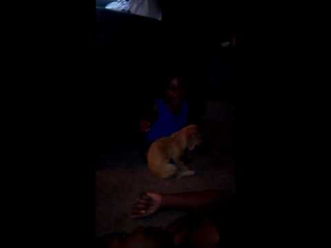 My Son and little Dog💯💯