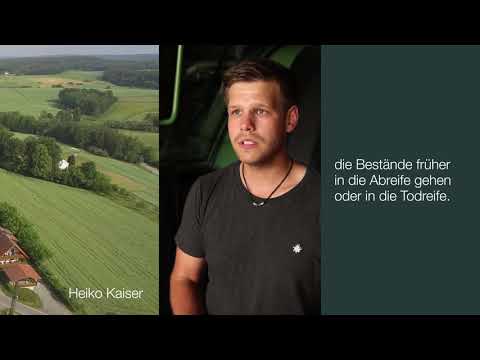 KWS Farmerportrait - Landwirt Heiko Kaiser