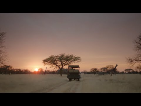 Safari :60 | Expedia+ rewards