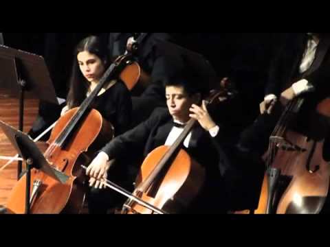 C. Saint-Saens - El cisne