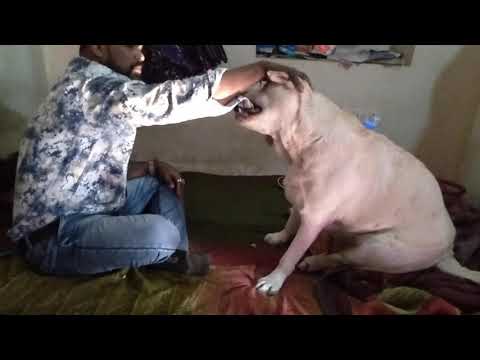 ❤️ Vijeta ❤️