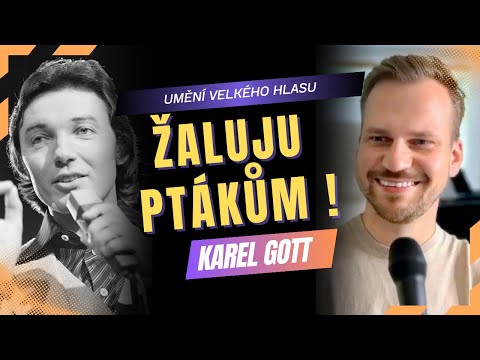 Karel Gott — proč je to UMĚNÍ VELKÉHO HLASU? | Žaluji ptákům | Reakce zpěváka