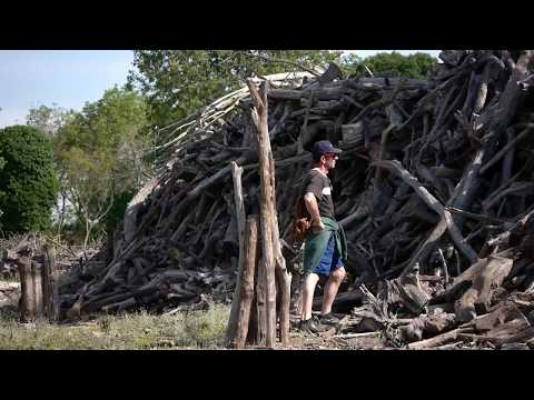 05 VeneziArchiNature - art in nature