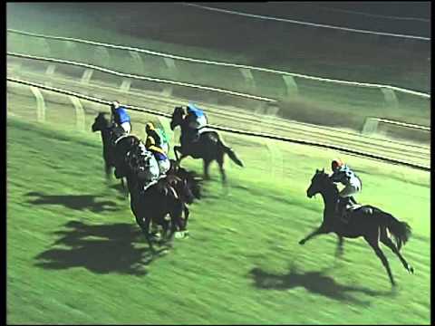 Galoppo 23/12/2015 - 5° corsa