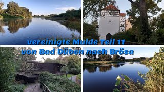 vereinigte Mulde Teil 11 von Bad Düben nach Brösa