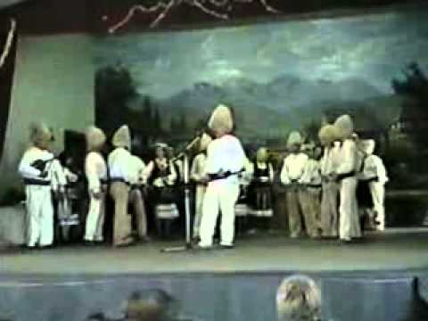 KUD "BRANKO OLAR"  IZ BORSKE SLATINE