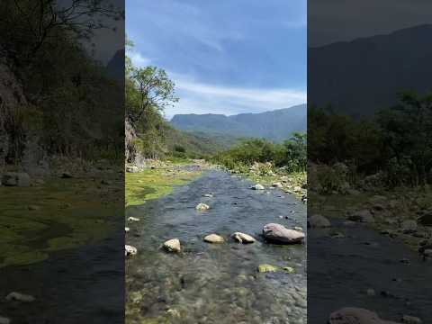 Arroyo en los bosques de Tocmoche -Chota -Cajamarca #relaxing #relax #nature