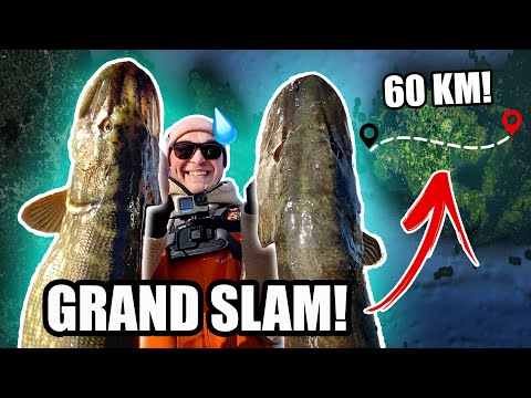 1v1 - Loser has to Walk Across GIANT ISLAND 😱 (Pike, Perch, Sea Trout)