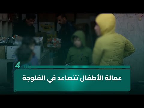 فيديو | عمالة الأطفال تتصاعد في الفلوجة وسط تحذيرات رسمية