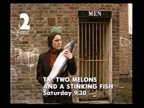 BBC2 Continuity | 28th November 1996