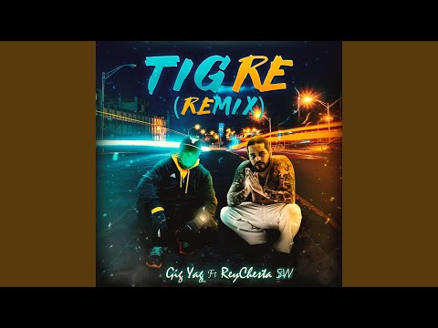 Tigre (Remix) (feat. Reychesta SW)