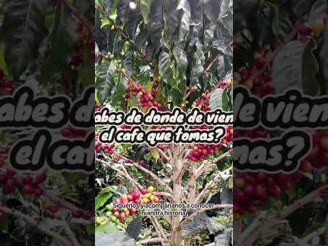 Café de origen colombiano.Desde Garzón, Huila, llevamos a tu taza el sabor del campo