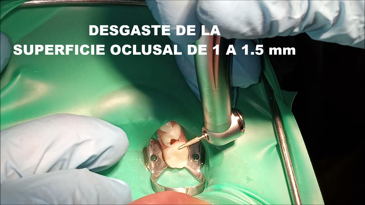 Luis Fernando Galicia Chacón-39