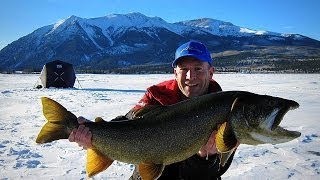 Huge Colorado Lakers!!! (C&R fish over 18") GoPro Ice Fishing
