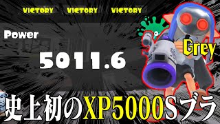 史上初！新たなXP5000の最強ブラスター使い「Grey」の視点を見たら異次元すぎた・・・【スプラトゥーン3】