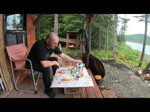 Solo Off Grid Cabin Trip Black Bear Moose And Brook Trout    Episode #67