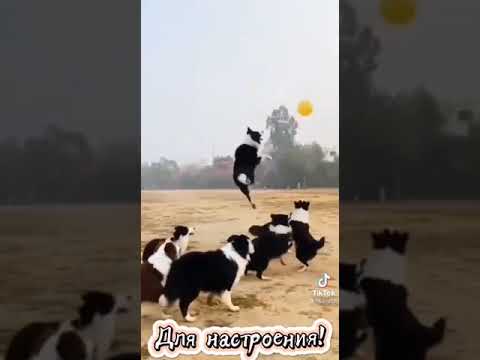 16 декабря 2022 г.