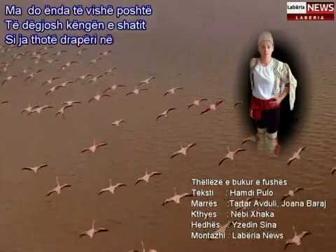 Këngë Labe - Thëllëzë e bukur e fushës - Tartar Avduli - Joana Baraj