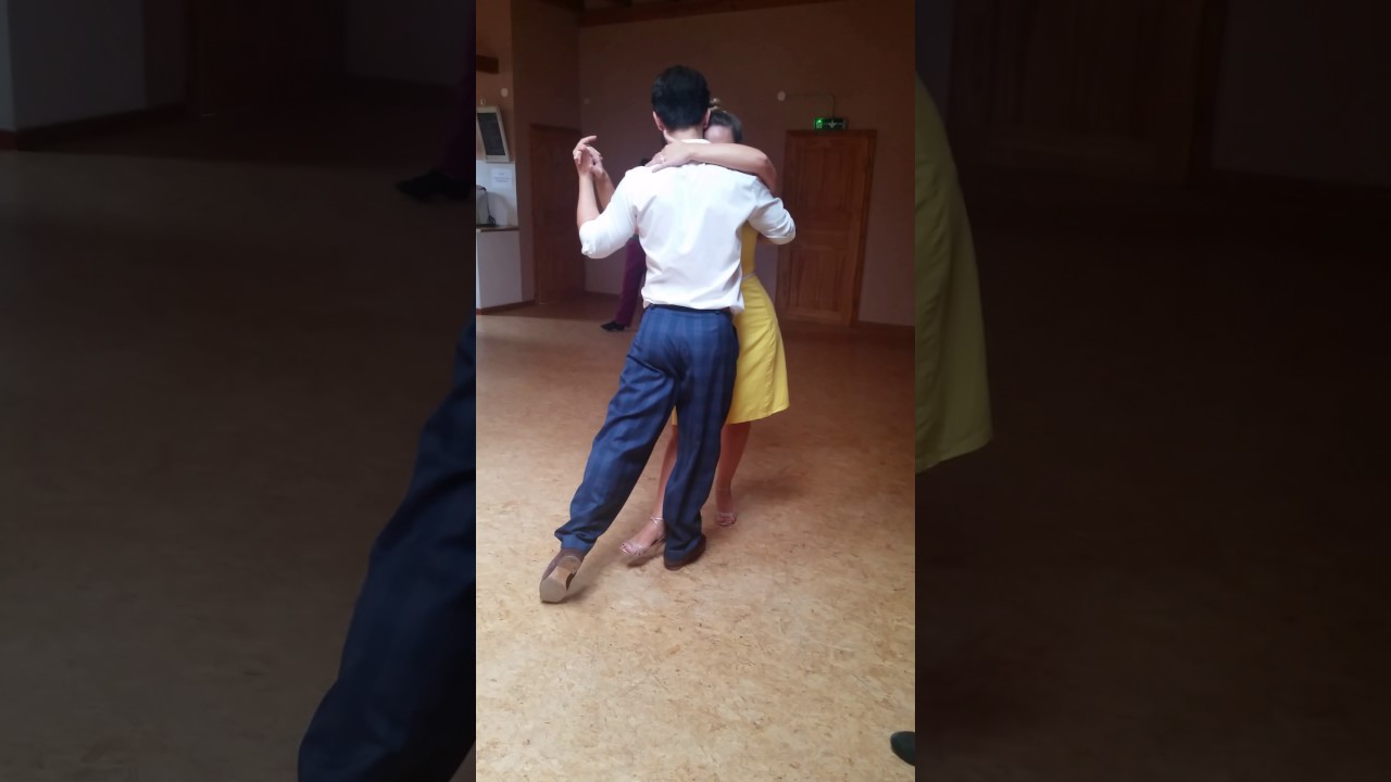 Maja Petrović  & Marko Miljević, Resume of a walking lesson