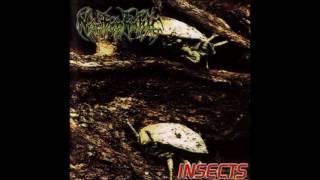 Nyctophobic - Insects (2000) Full Album HQ (Grindcore)