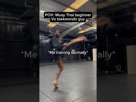 Muay Thai beginner vs taekwondo guy