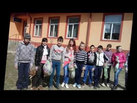 scoala ecoterrienilor