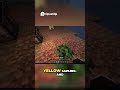 Minecraft Mob Spawner Max Animals FAST