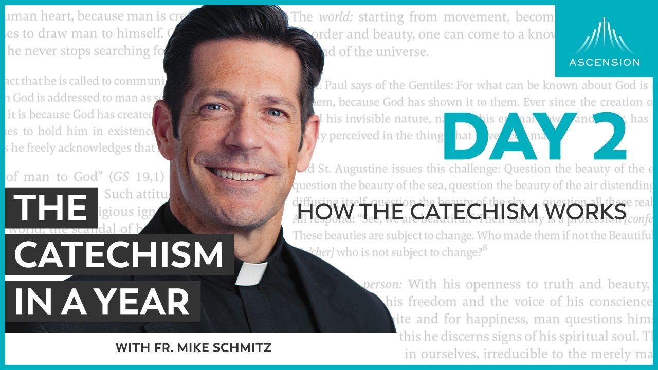 Day 2: How the Catechism Works — The Catechism in a Year (with Fr. Mike Schmitz)