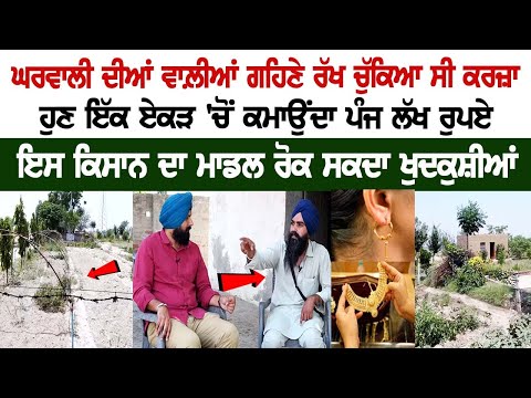 Loan taken by keeping the ornaments of Wife Mortgaged, Now Sikh farmer Earns Rs 5 lakhs from 1 Acre | Punjab Farmer