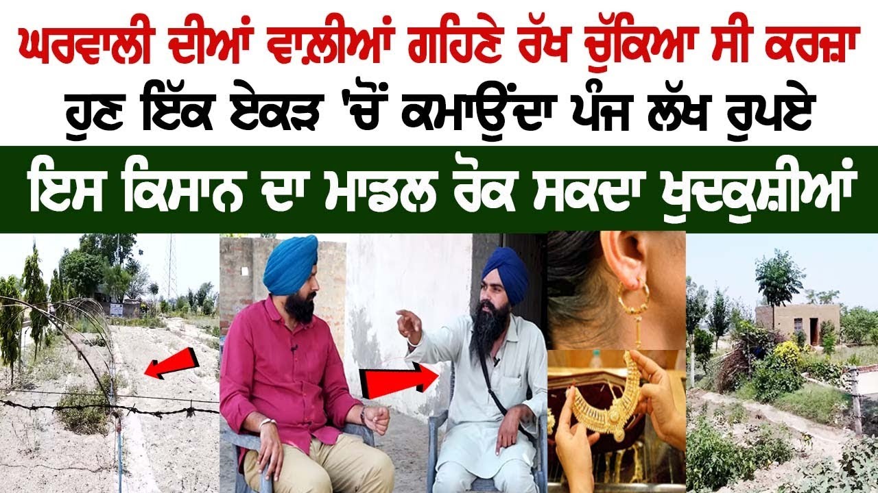 Loan taken by keeping the ornaments of Wife Mortgaged, Now Sikh farmer Earns Rs 5 lakhs from 1 Acre | Punjab Farmer Loan taken by keeping the ornaments of Wife Mortgaged, Now Sikh farmer Earns Rs 5 lakhs from 1 Acre | Punjab Farmer