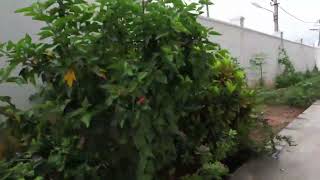 Capitol Public School Video