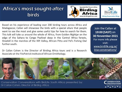 Conservation Conversations: Callan Cohen - Africa's most sought-after birds (30 November 2021)