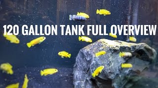 120 Gallon Tank - System Overview