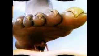 La Polla Records   Progreso y Ciencia