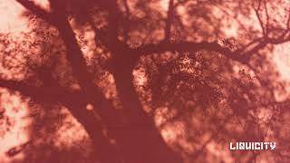 Nymfo - Girl Next Door